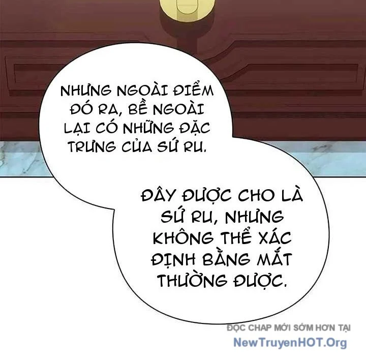Người Giám Định Cổ Vật Chapter 46 - Trang 2