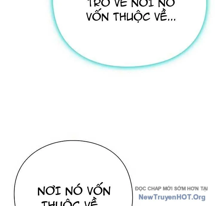 Người Giám Định Cổ Vật Chapter 47 - Trang 2