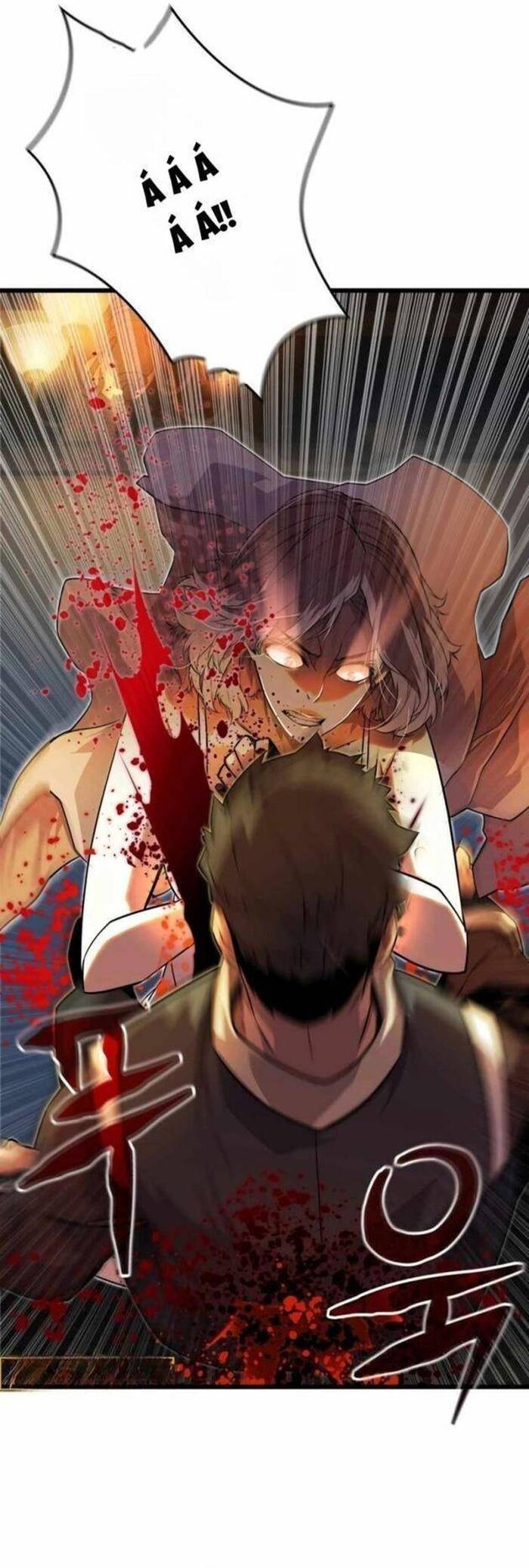 Người Thừa Kế Của Gia Tộc Suy Tàn Chapter 13 - Trang 2