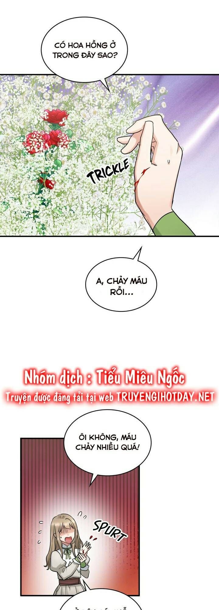 Người Thừa Kế Chapter 60 - Trang 2