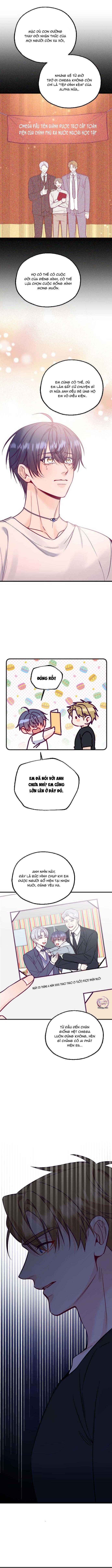 NGƯỜI TÌNH THẾ THÂN CỦA ALPHA Chapter 19 - Trang 3
