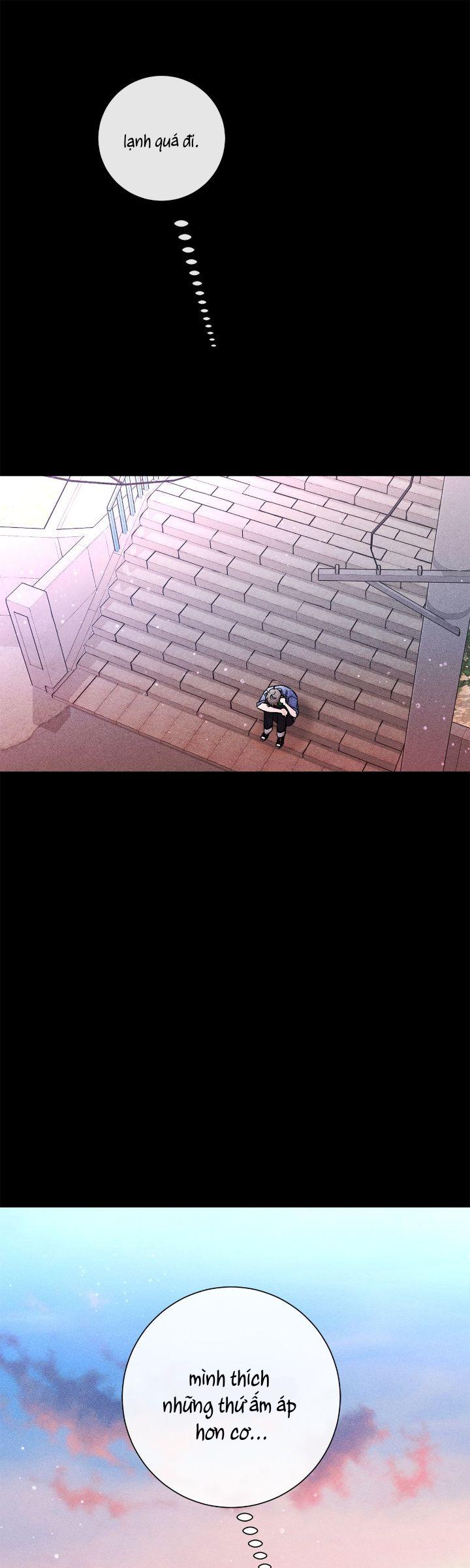 Người Yêu Của Anh Trai Tôi Chapter 38 - Next Chapter 39