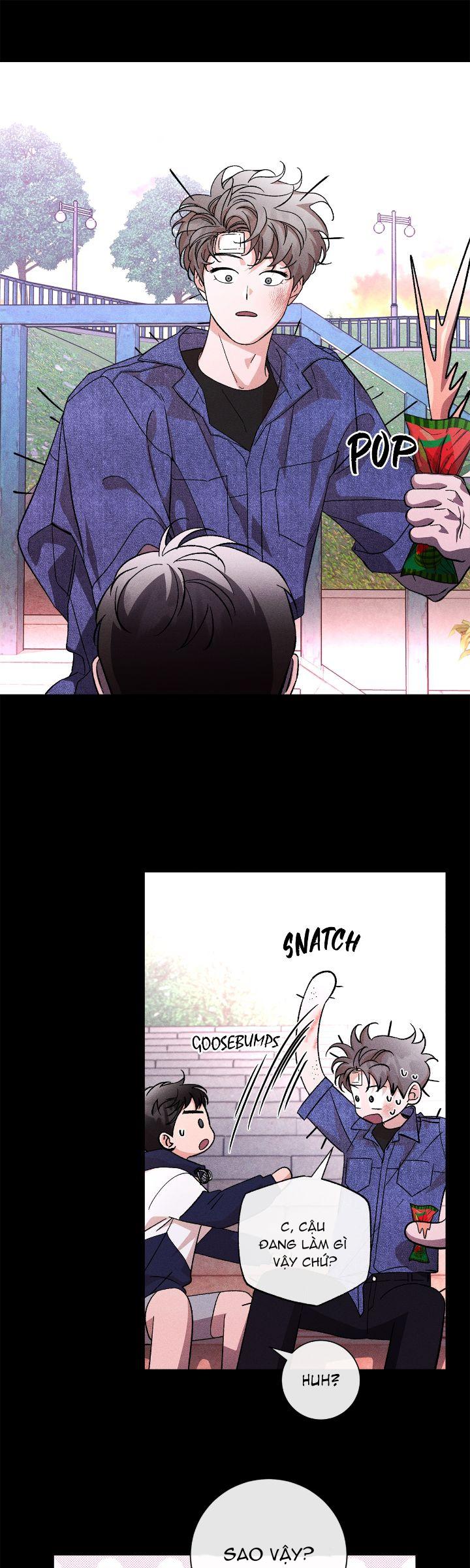 Người Yêu Của Anh Trai Tôi Chapter 38 - Next Chapter 39