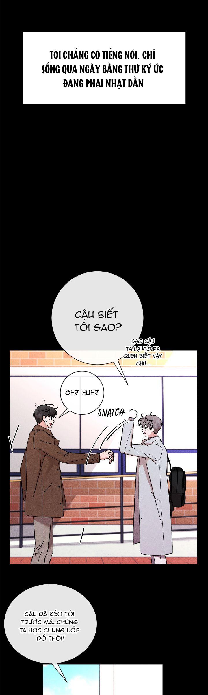 Người Yêu Của Anh Trai Tôi Chapter 39 - Next 