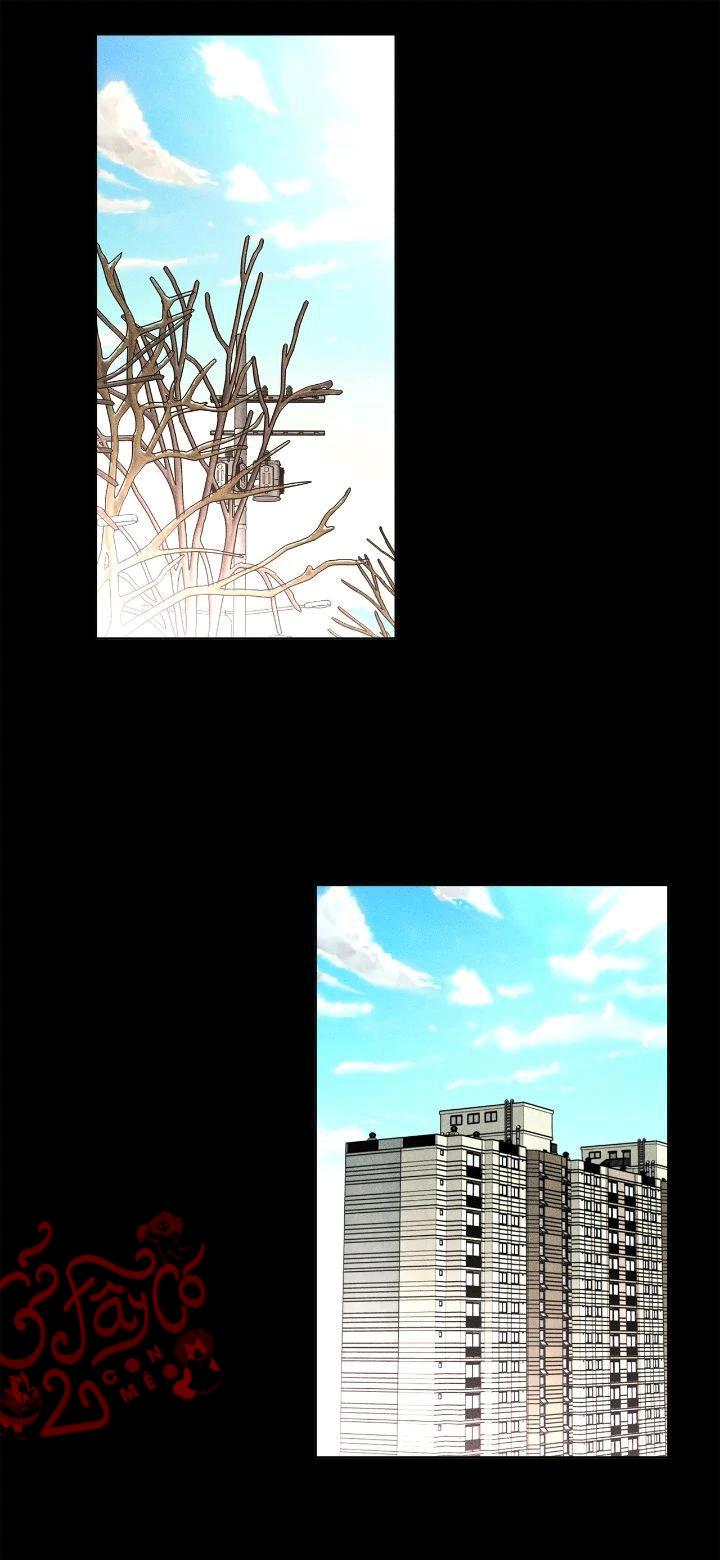 Người Yêu Của Anh Trai Tôi Chapter 49 - Trang 3