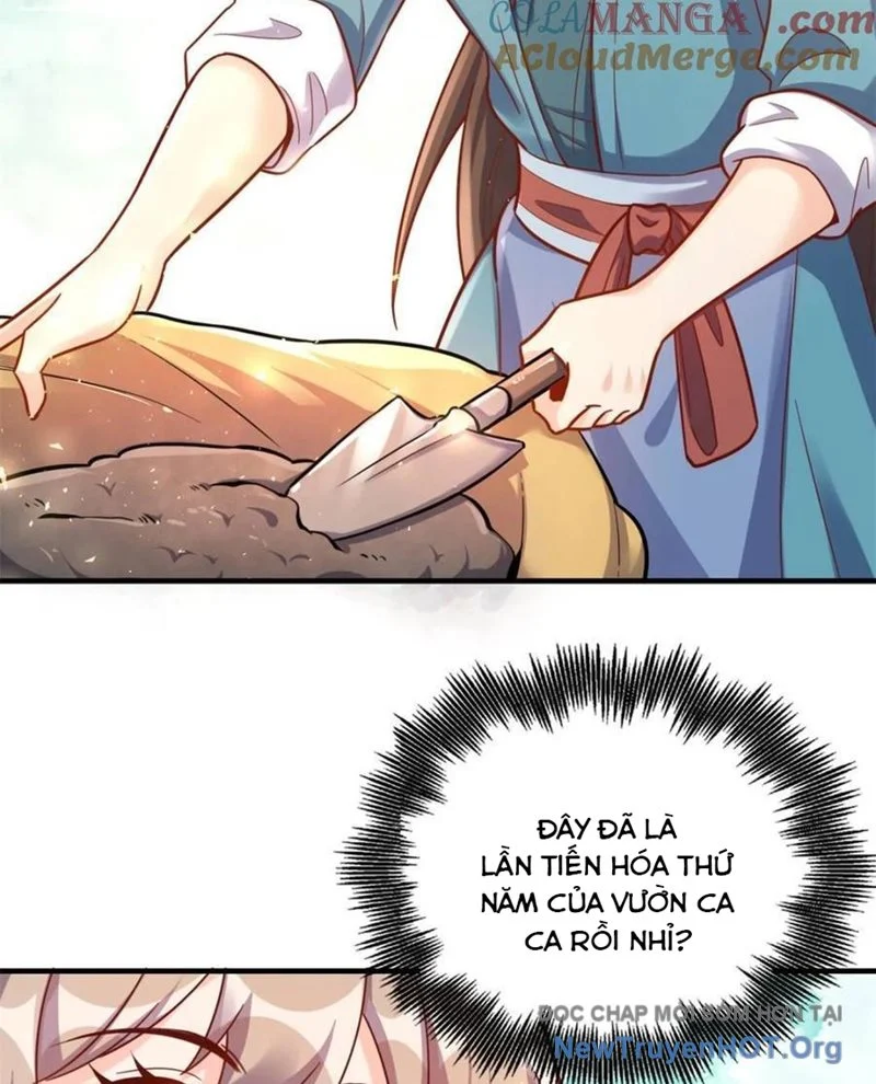 Nguyên Lai Ta Là Tu Tiên Đại Lão Chapter 570 - Next Chapter 571