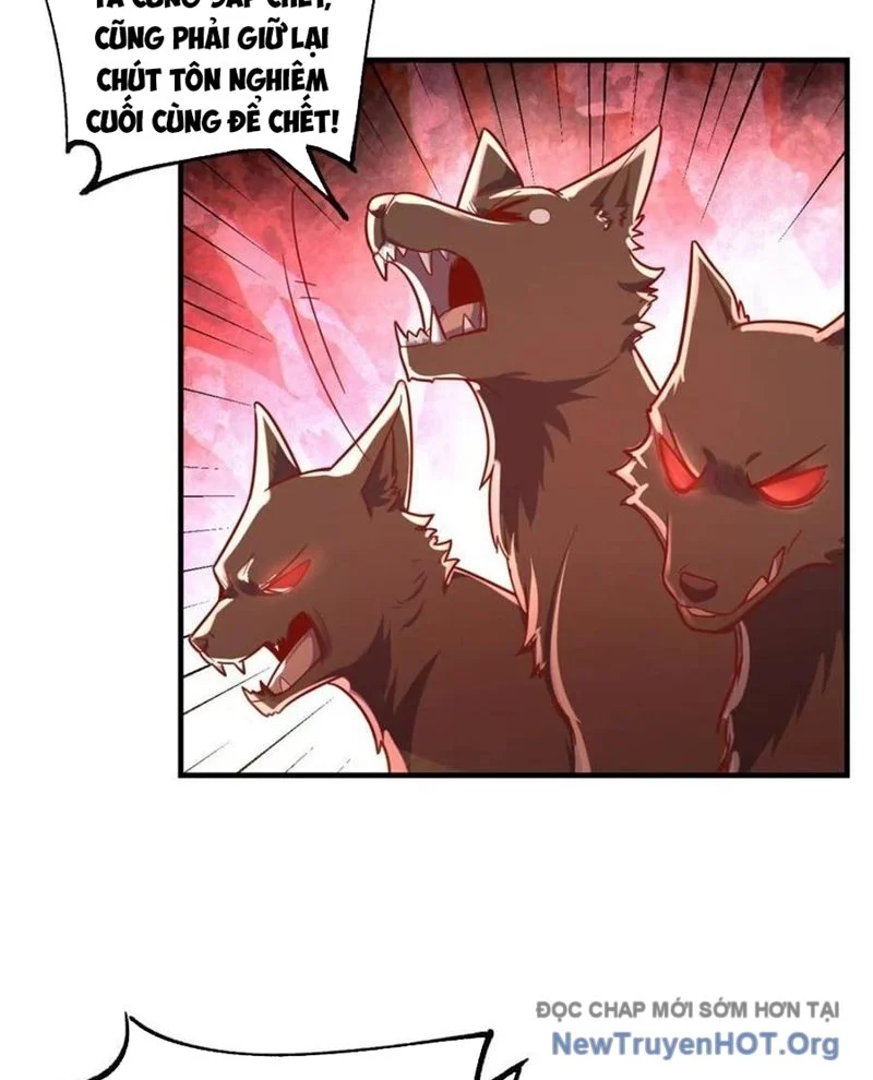 Nguyên Lai Ta Là Tu Tiên Đại Lão Chapter 570 - Next Chapter 571