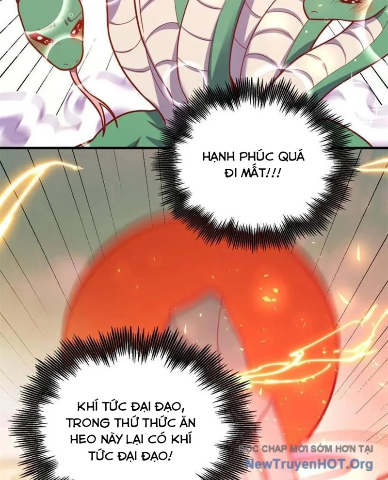 Nguyên Lai Ta Là Tu Tiên Đại Lão Chapter 570 - Next Chapter 571