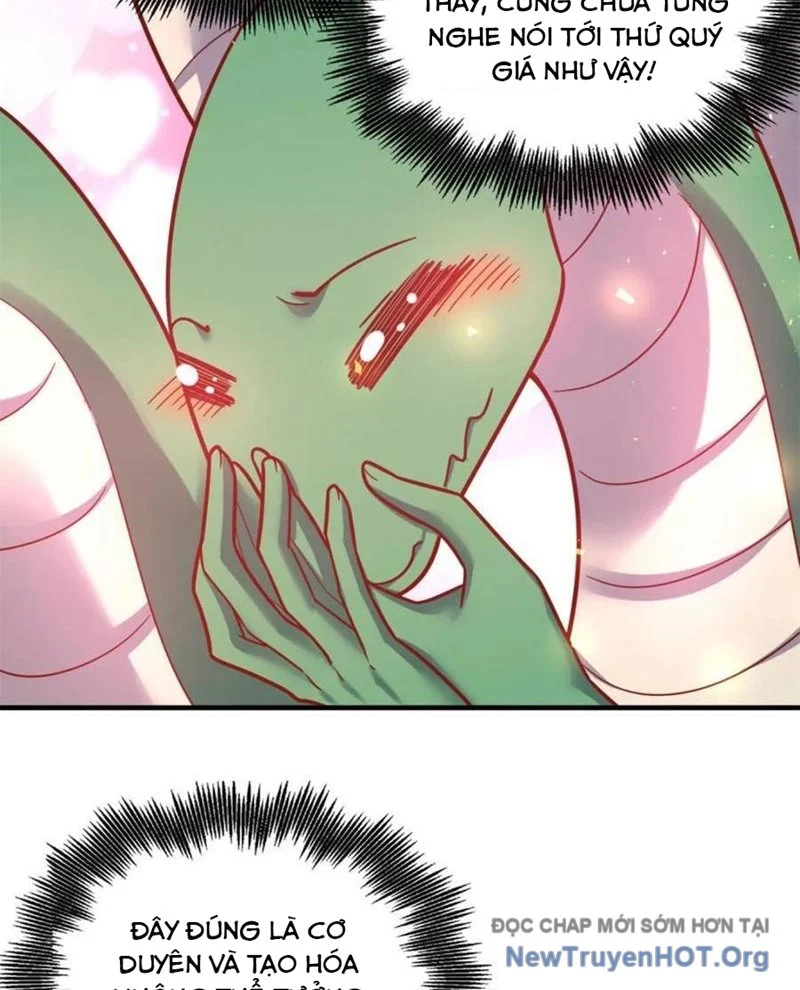 Nguyên Lai Ta Là Tu Tiên Đại Lão Chapter 570 - Next Chapter 571