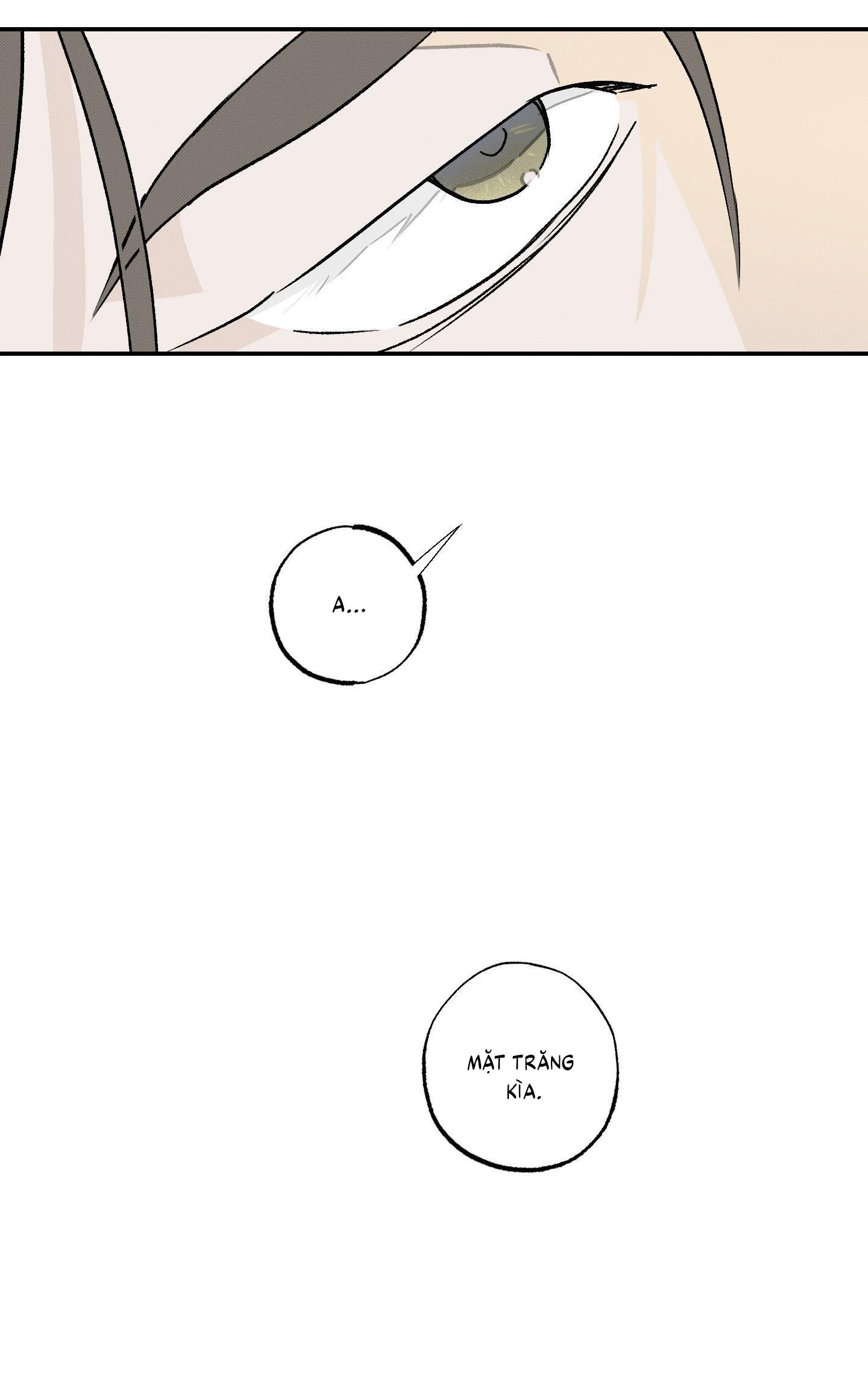 Nguyệt Ẩn Dạ Đàm Chapter 26 50