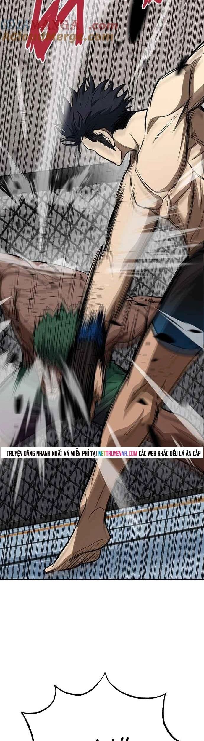 Nhà Vô Địch Kalli Chapter 132 - Trang 2