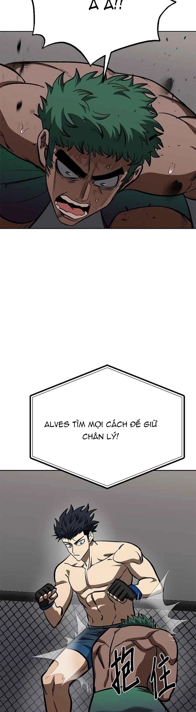 Nhà Vô Địch Kalli Chapter 132 - Trang 2