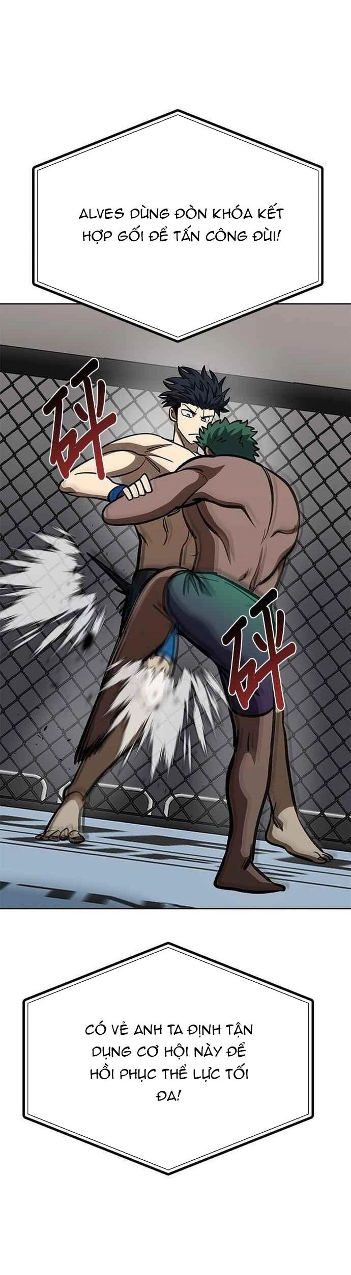 Nhà Vô Địch Kalli Chapter 133 - Trang 2