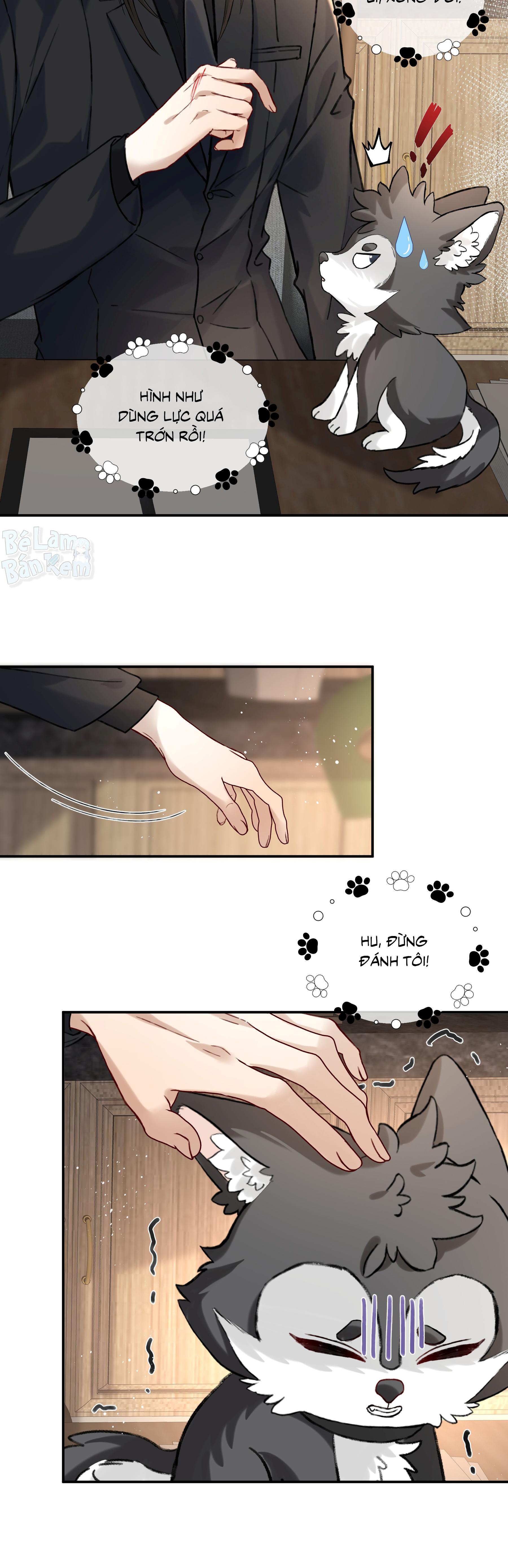 NHẬN GIẶC LÀM CHA Chapter 14 - Trang 3
