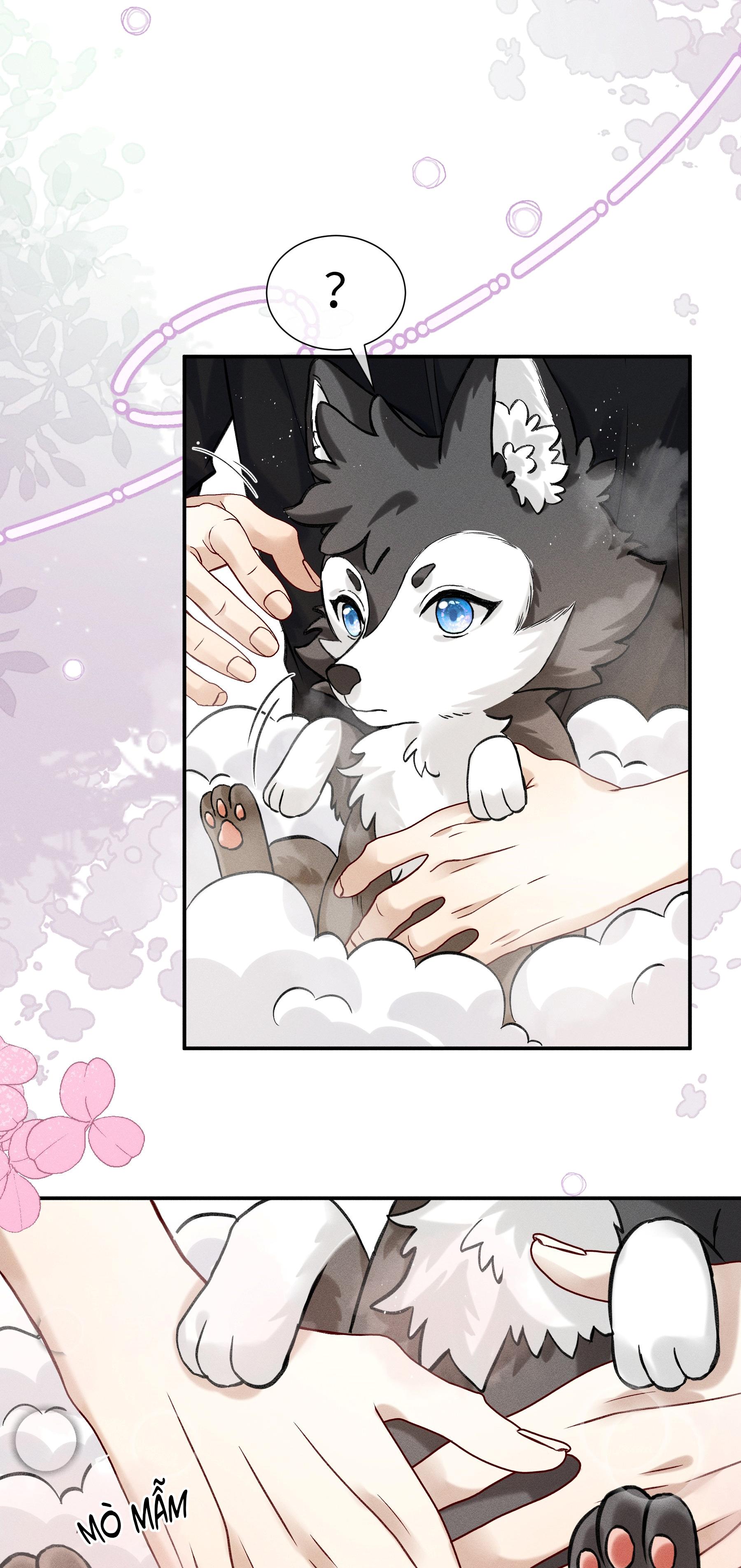 NHẬN GIẶC LÀM CHA Chapter 2 - Next Chapter 3