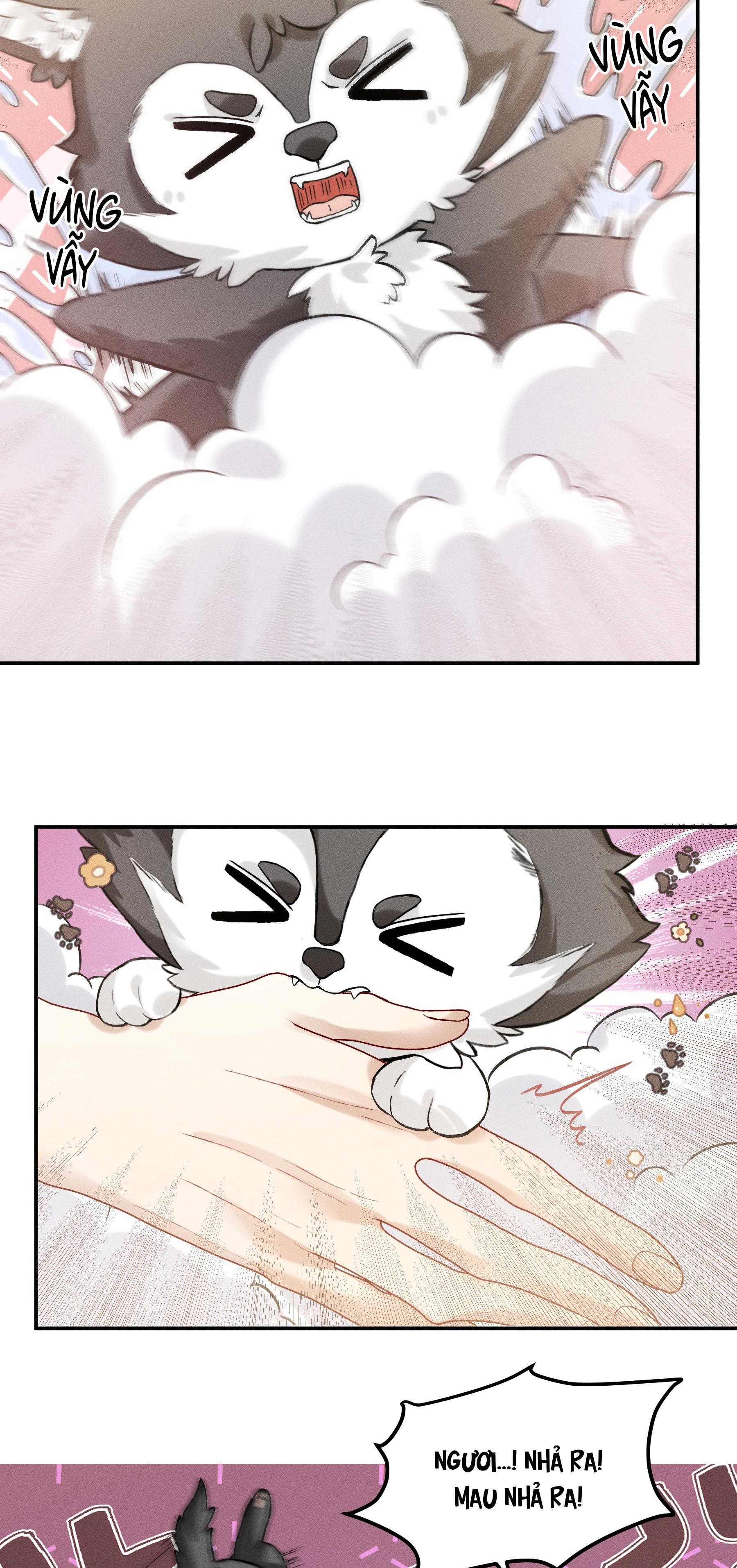 NHẬN GIẶC LÀM CHA Chapter 3 - Trang 3