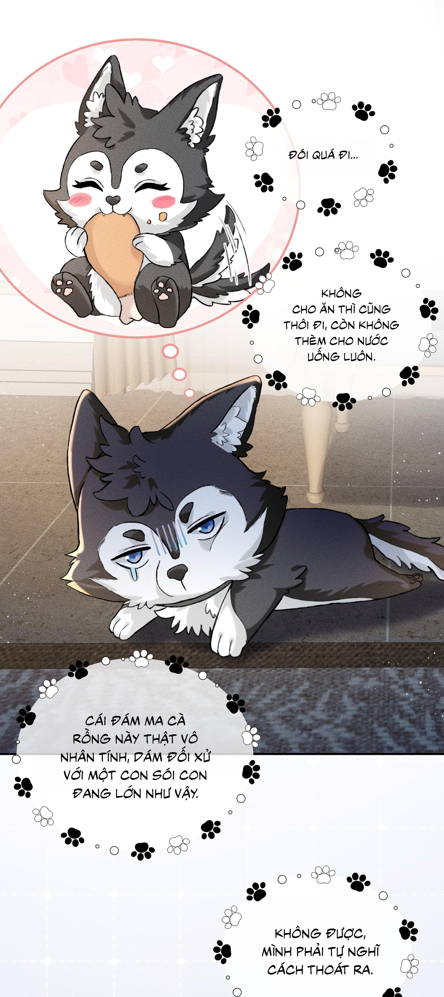 NHẬN GIẶC LÀM CHA Chapter 5 - Trang 3