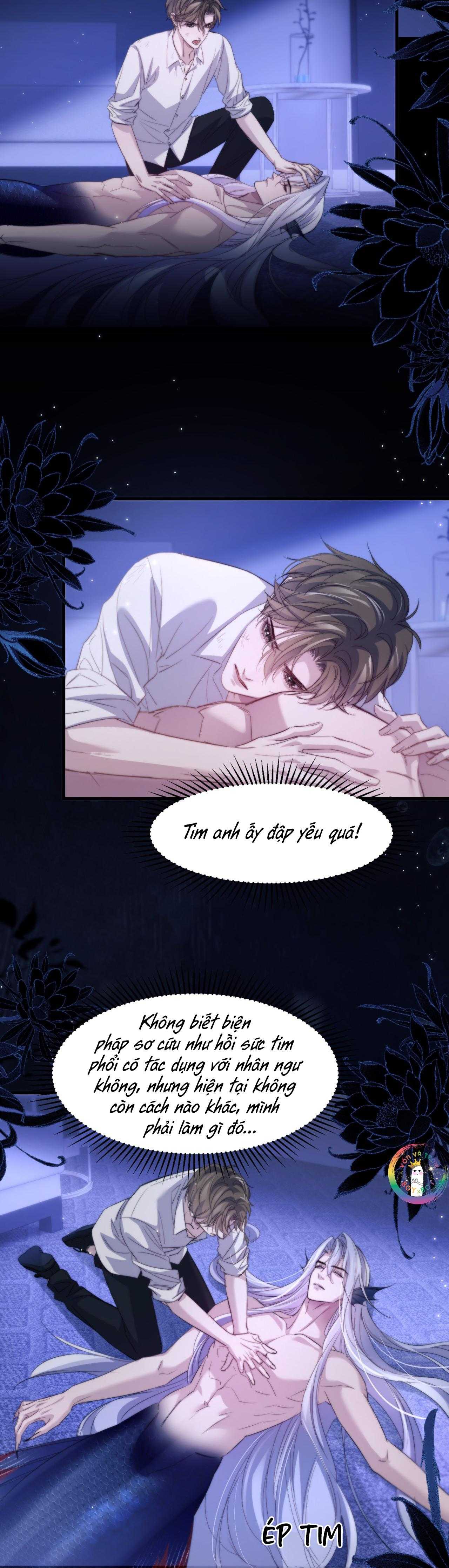 Nhân Ngư Desharow Chapter 101 - Next 