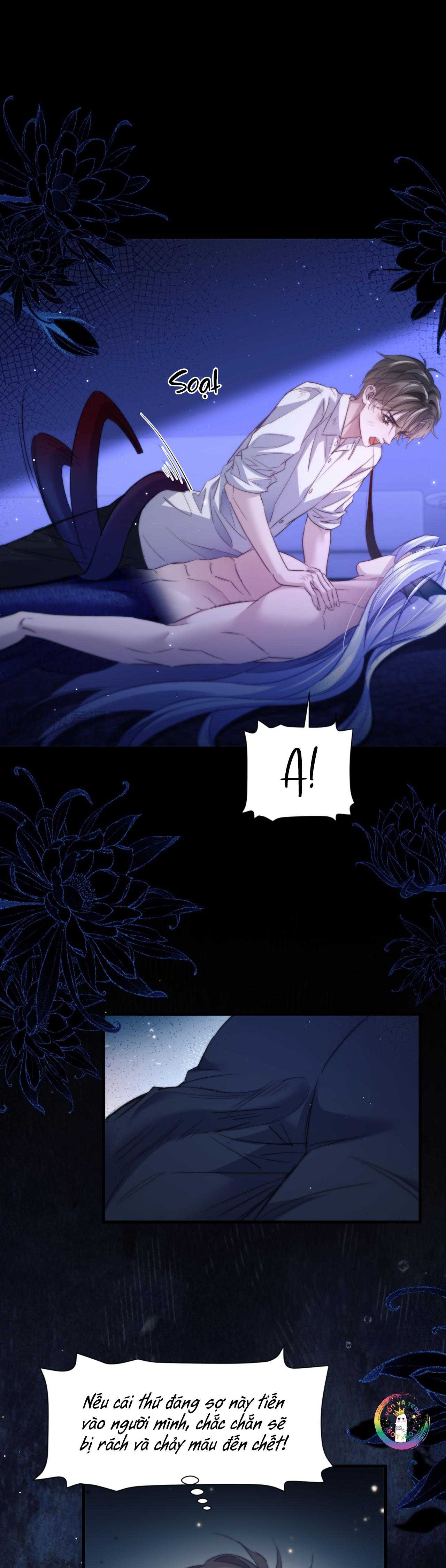 Nhân Ngư Desharow Chapter 101 - Next 