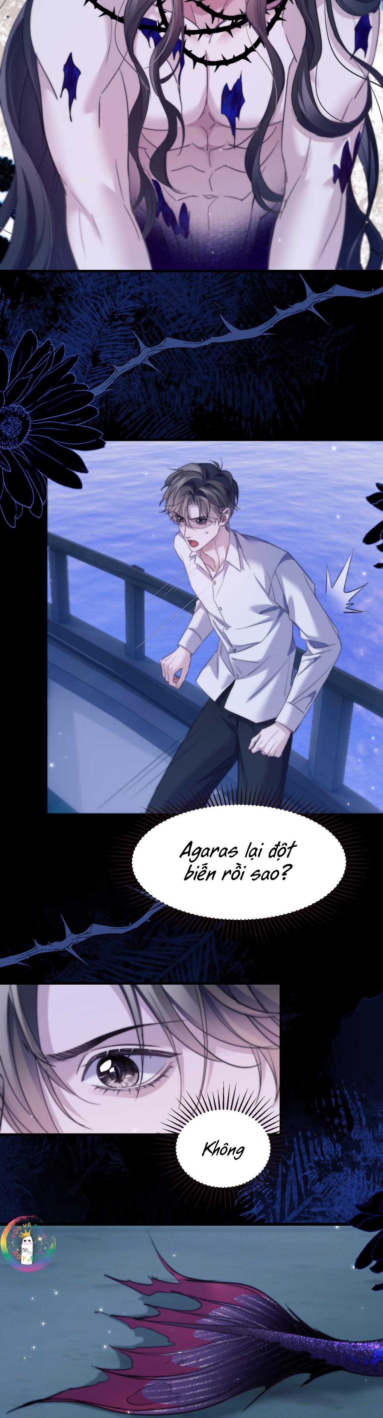 Nhân Ngư Desharow Chapter 104 - Trang 4