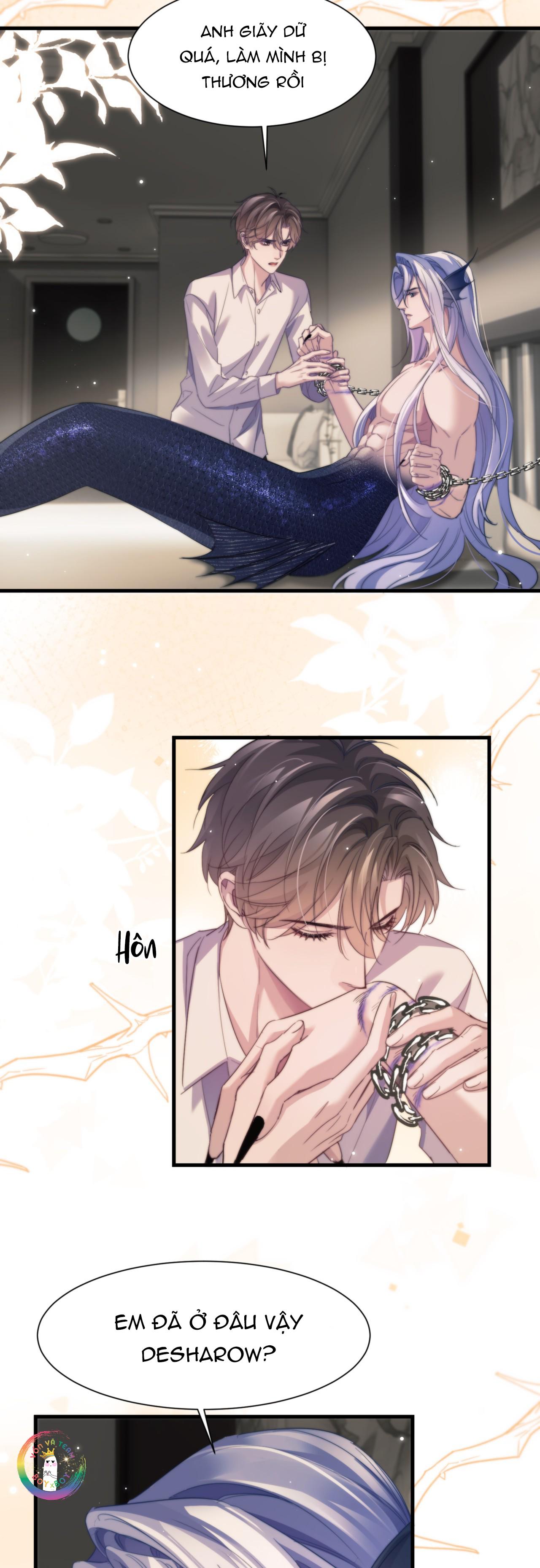 Nhân Ngư Desharow Chapter 106 - Next 