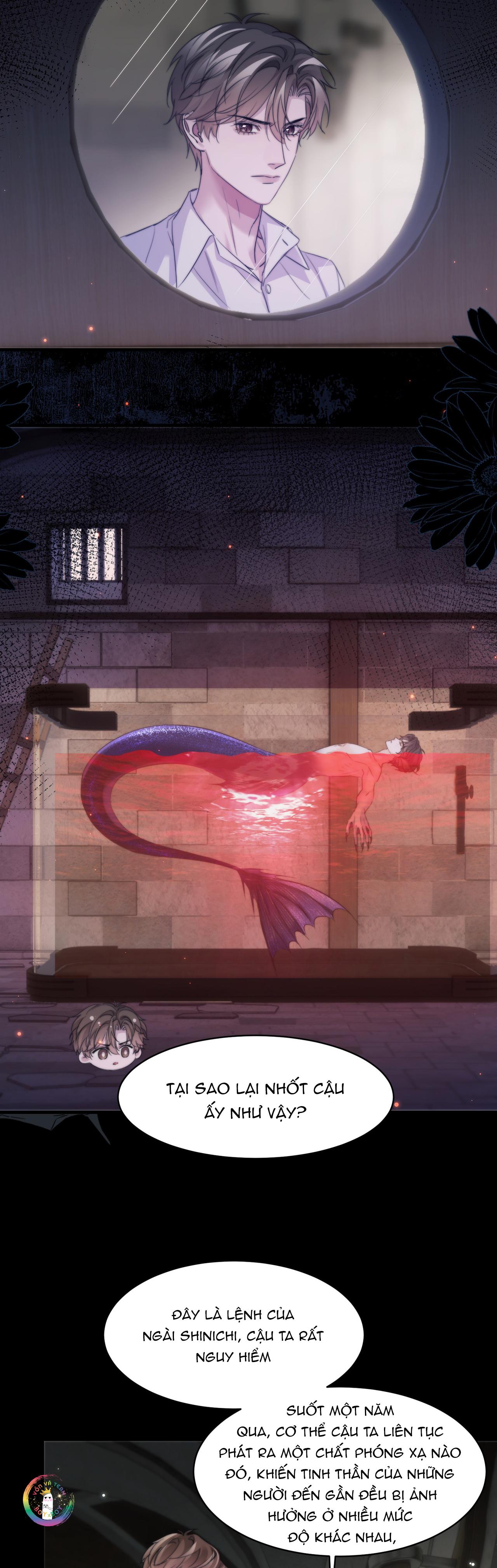 Nhân Ngư Desharow Chapter 110 - Trang 4