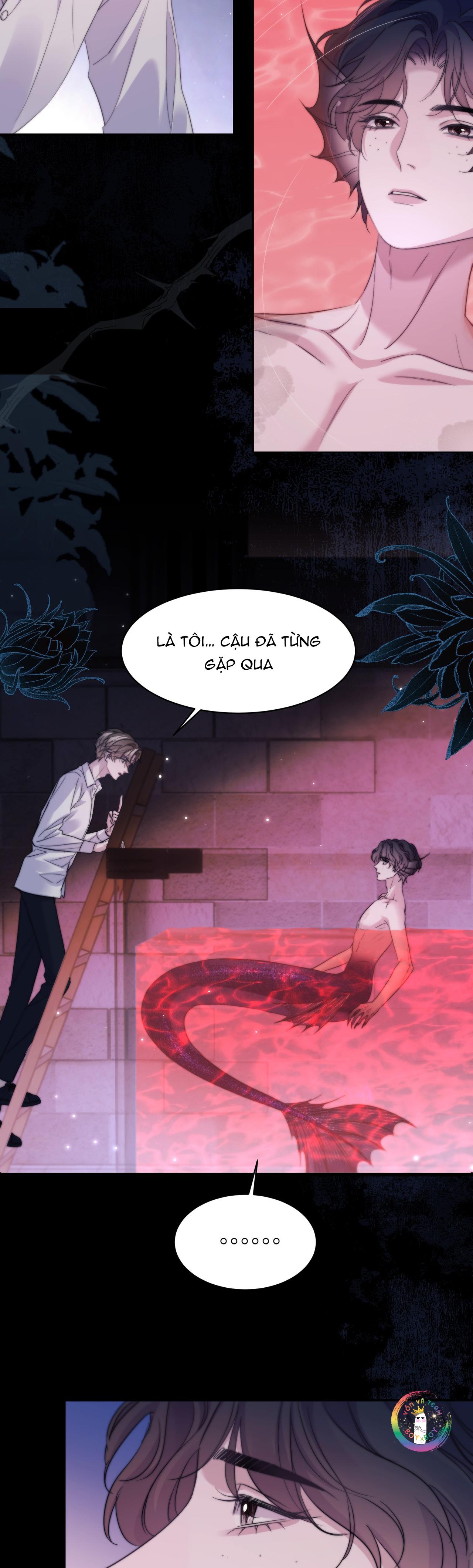 Nhân Ngư Desharow Chapter 110 - Trang 4