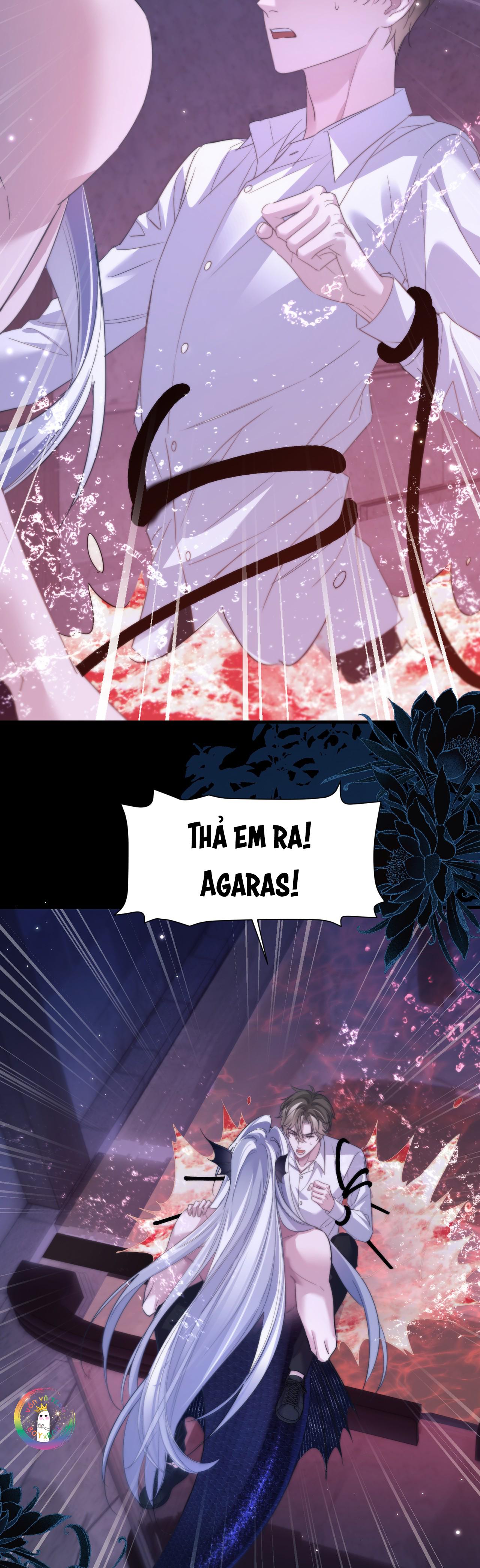 Nhân Ngư Desharow Chapter 111 - Trang 3