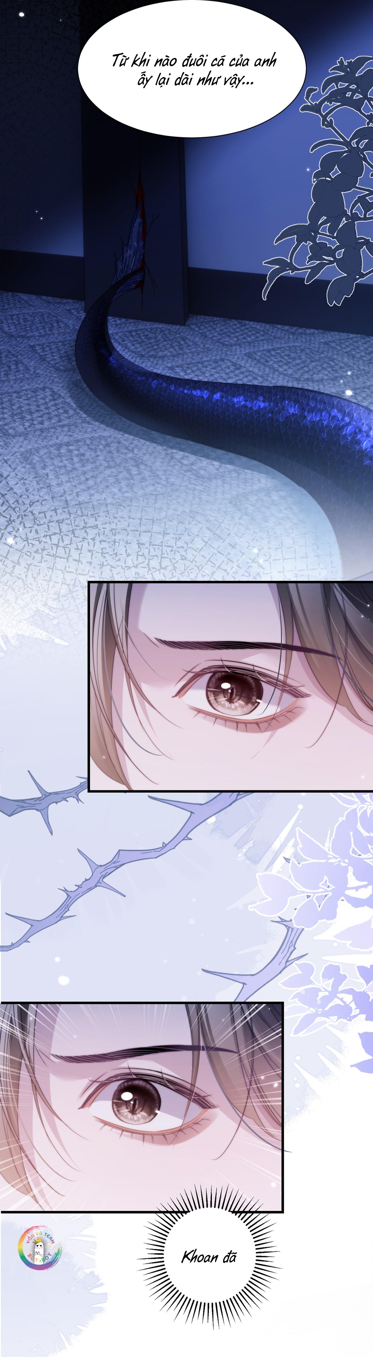 Nhân Ngư Desharow Chapter 116 5