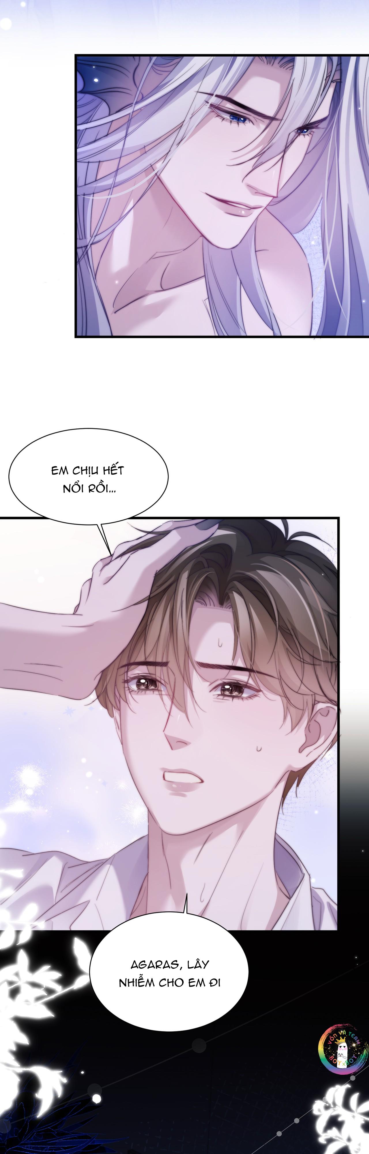 Nhân Ngư Desharow Chapter 116 12