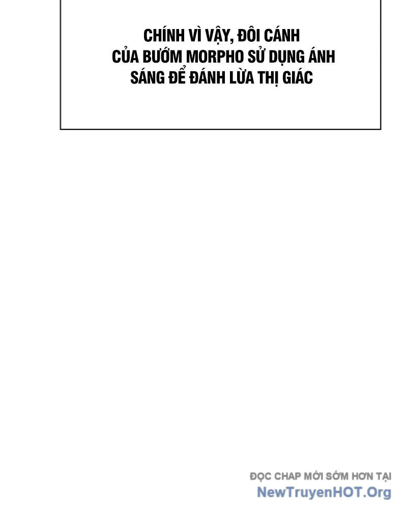 Nhân Trùng Đại Chiến Chapter 166 - Next 