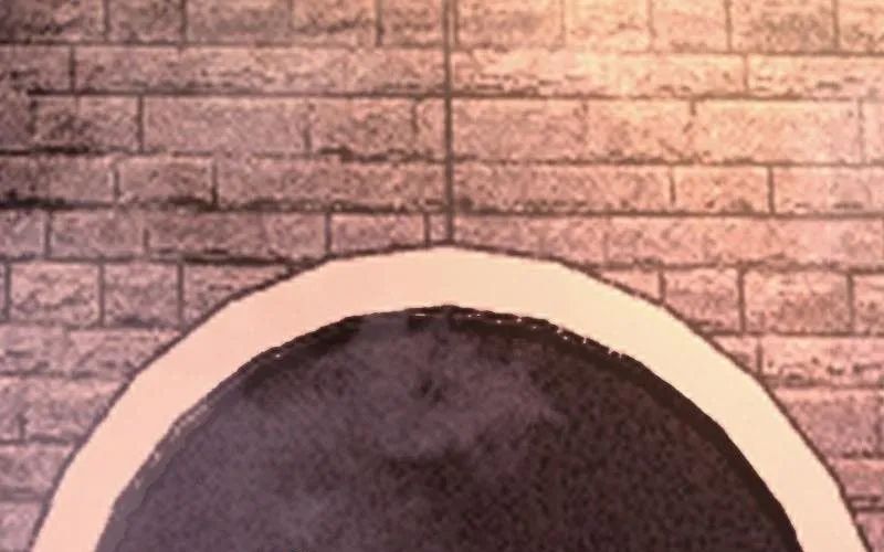 Nhân Vật Phản Diện Đại Sư Huynh, Tất Cả Các Sư Muội Đều Là Bệnh Kiều Chapter 239 - Trang 2