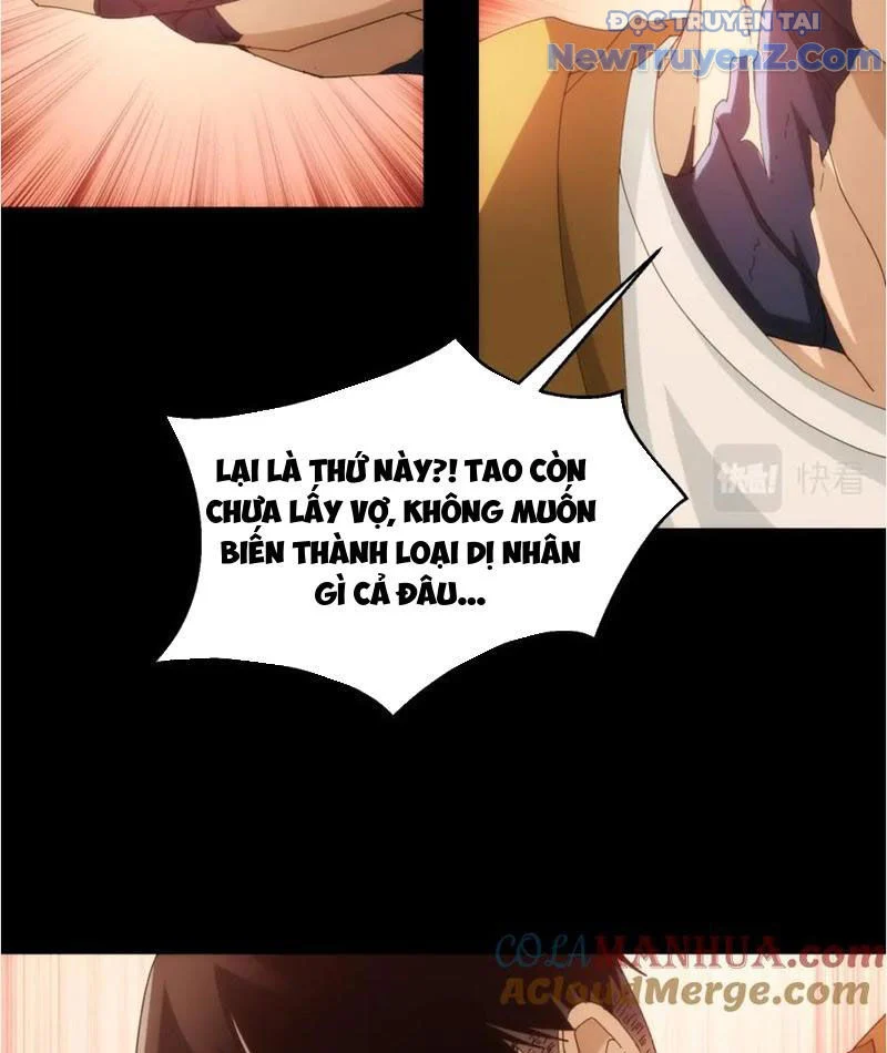 Nhất Ký Trọng Quyền Chapter 19 - Trang 2
