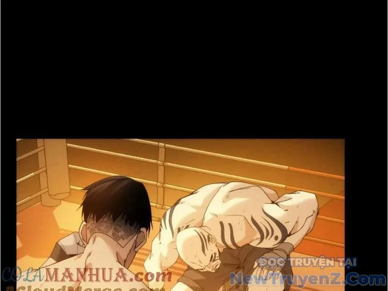 Nhất Ký Trọng Quyền Chapter 23 - Trang 2