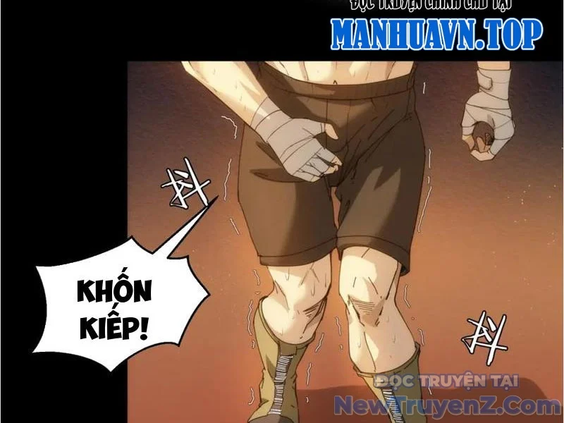 Nhất Ký Trọng Quyền Chapter 23 - Trang 2