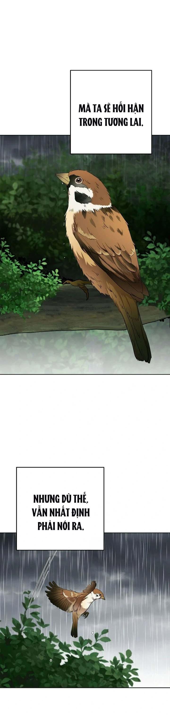 Niềm An Ủi Ngày Chủ Nhật Chapter 65 - Trang 2