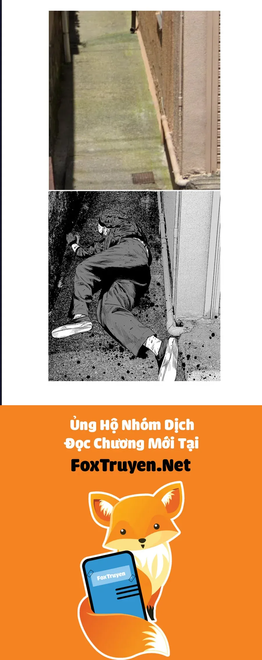 Nine Peaks Chapter 171 - Next 