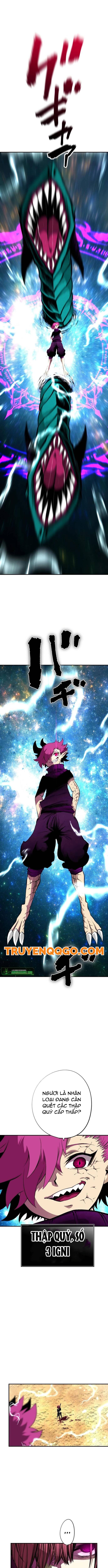 Ninja Tái Sinh Ở Thế Giới Khác - Hành Trình Tìm Lại Nhân Tính Của Fuuma Kotarou Chapter 30 - Trang 2