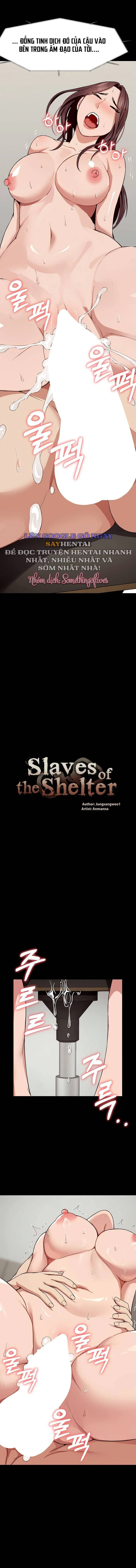Nô Lệ Hầm Trú Ẩn Chapter 23 - Trang 2