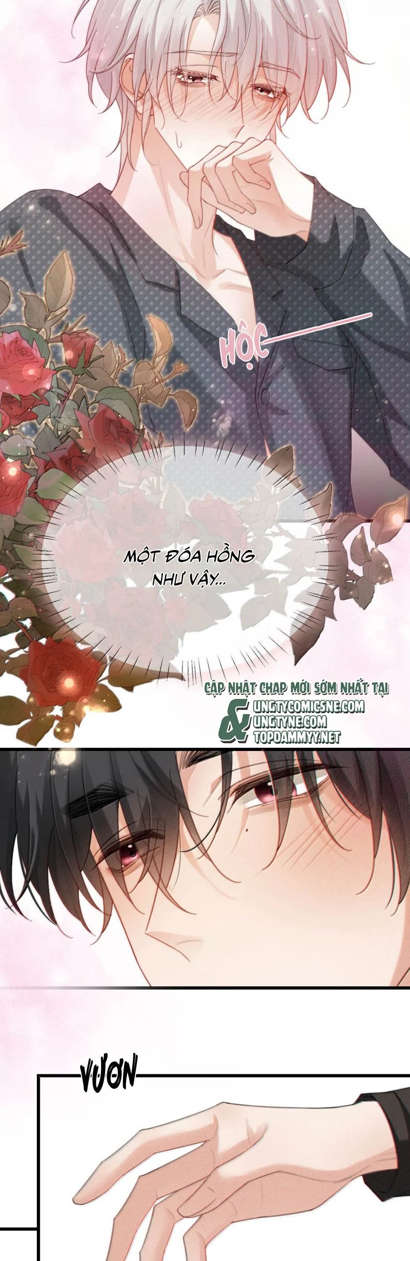 Nồng Đậm Tin Tức Tố Chapter 24 - Trang 4