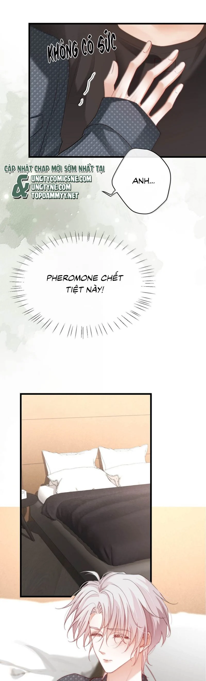 Nồng Đậm Tin Tức Tố Chapter 24 - Trang 4