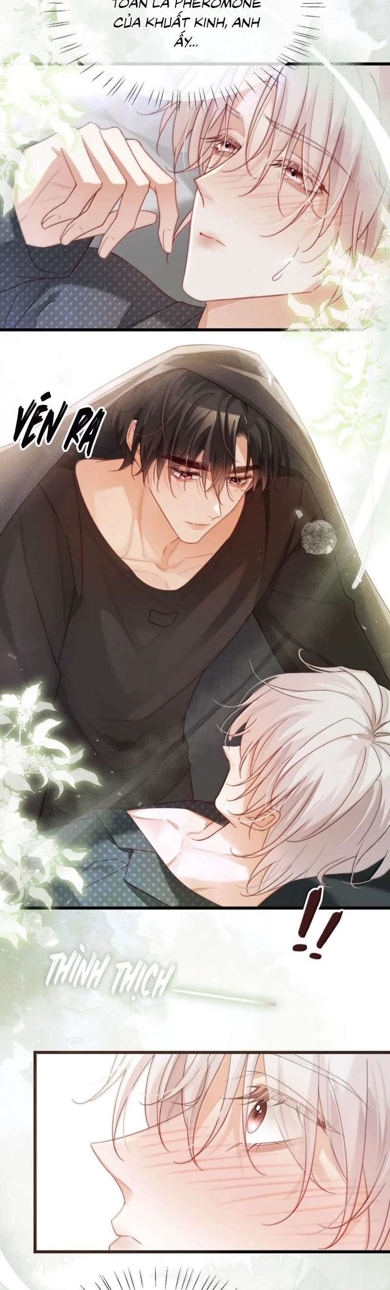 Nồng Đậm Tin Tức Tố Chapter 24 - Trang 4