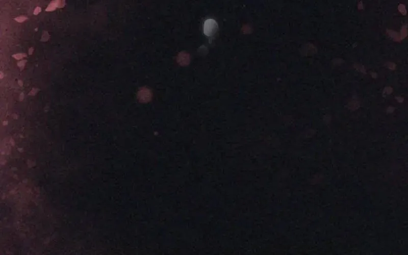 Nữ Tước Trong Sự Lụi Tàn Chapter 31 27