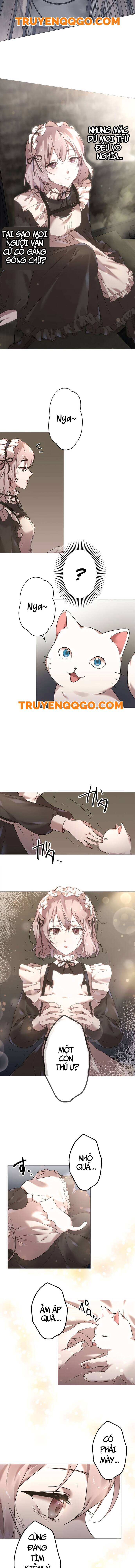 Nước Mắt Thần Chết Chapter 1 - Next Chapter 2