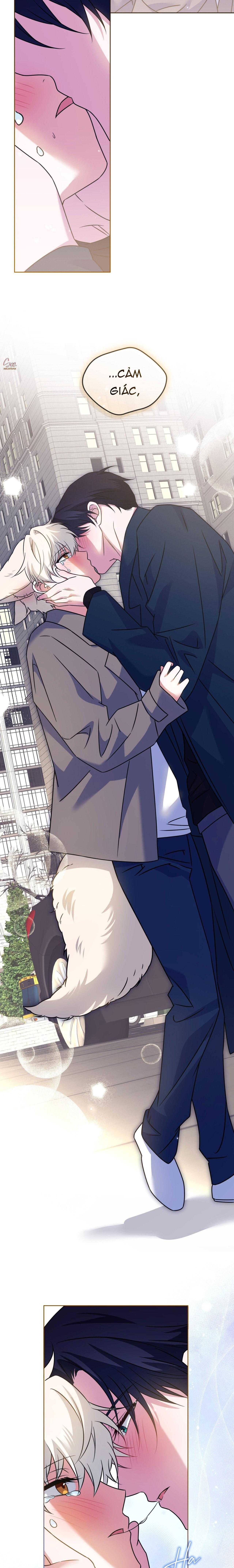 NƯỚC UỐNG TÌNH YÊU CỦA CÁO PLIN Chapter 41 - Trang 4