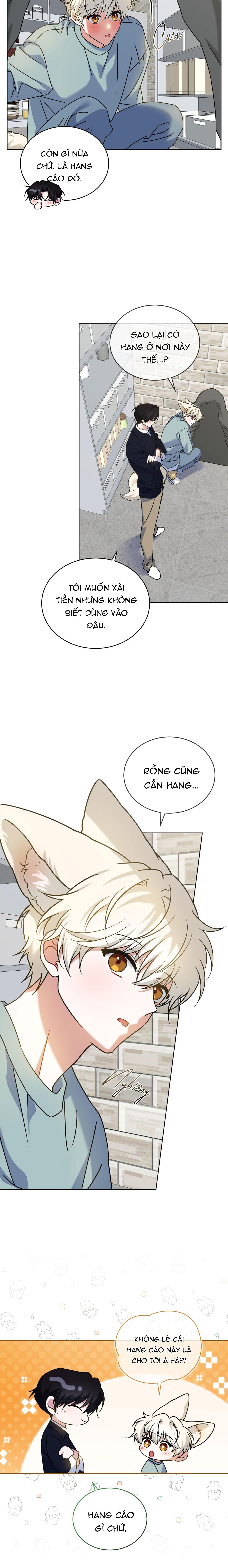 NƯỚC UỐNG TÌNH YÊU CỦA CÁO PLIN Chapter 42 - Trang 3