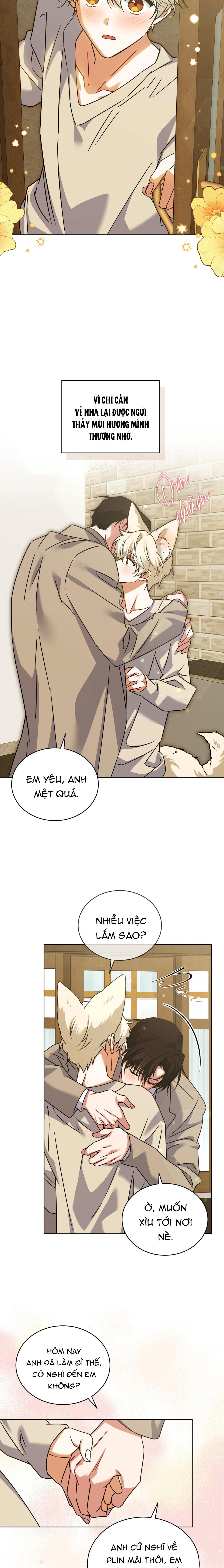 NƯỚC UỐNG TÌNH YÊU CỦA CÁO PLIN Chapter 42 - Trang 3