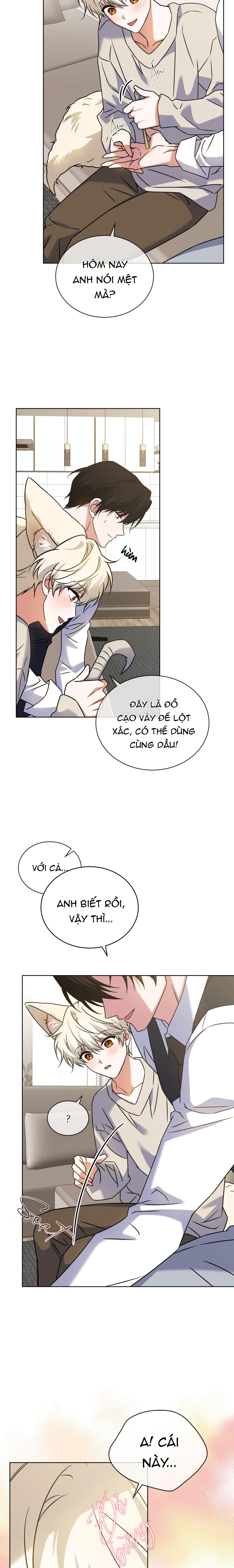 NƯỚC UỐNG TÌNH YÊU CỦA CÁO PLIN Chapter 42 - Trang 3
