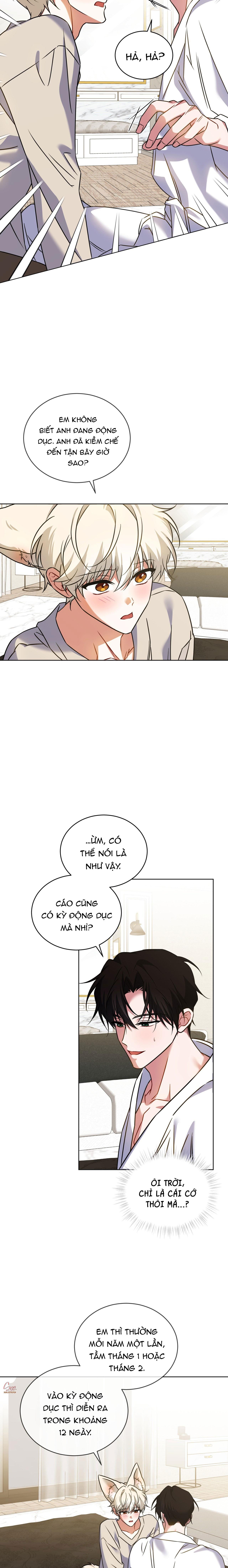 NƯỚC UỐNG TÌNH YÊU CỦA CÁO PLIN Chapter 43 - Trang 2
