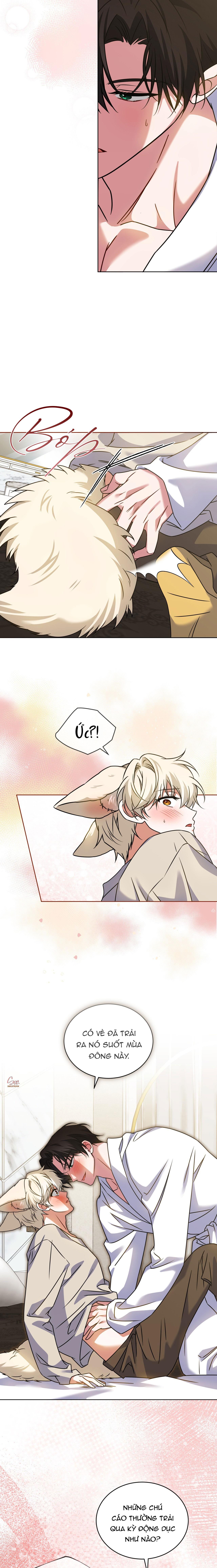 NƯỚC UỐNG TÌNH YÊU CỦA CÁO PLIN Chapter 43 - Trang 2